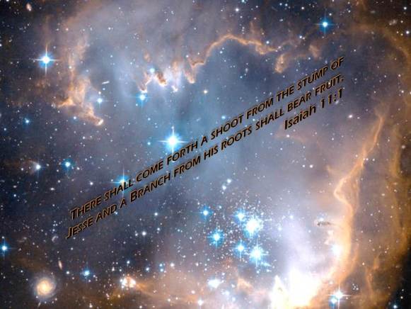 Messiah's 1st coming foretold (Isa 11 1)