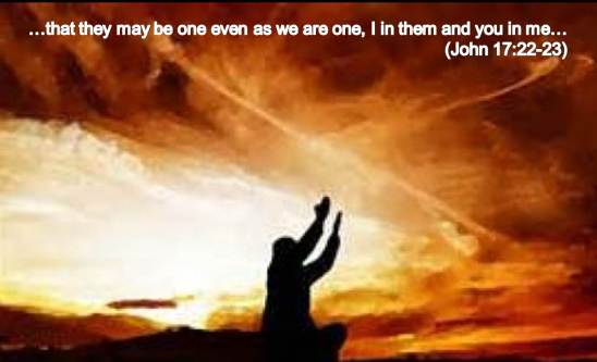 that they may be one