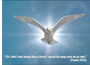 o that I had wings