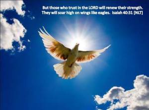 soar high on eagle's wings