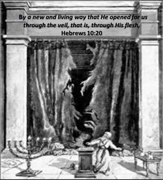 thru-the-veil-of-his-flesh