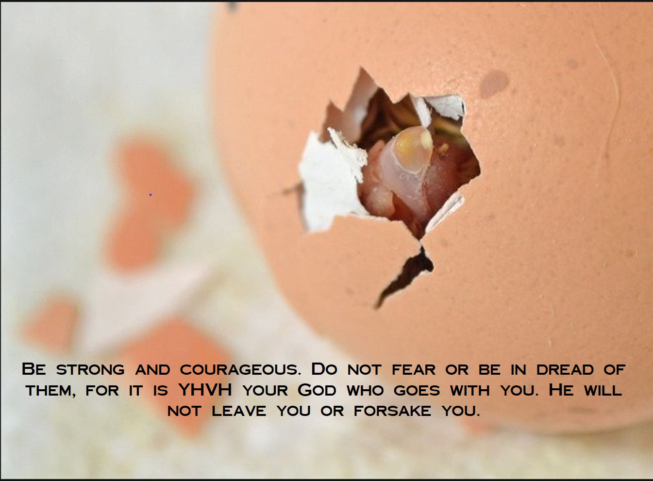 He will not leave you